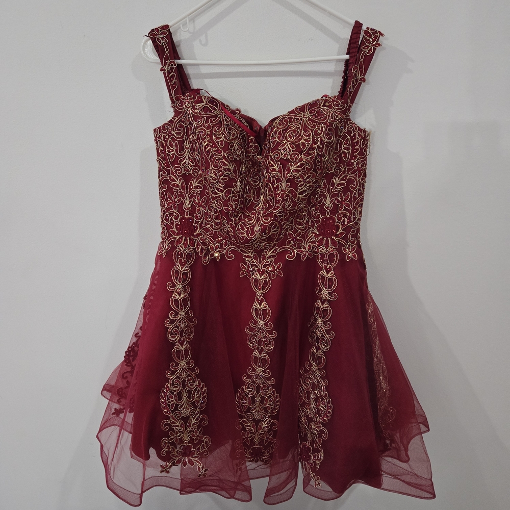Anny Lee Sz XL Red Sleeveless V Neckline Zipper Embroidered Dress